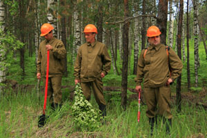 Сотрудники «Пожлеса» продемонстрировали губернатору свою технику и потушили минипожар